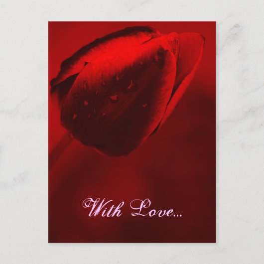 Briefkaart met rode tulpen (Voorkant)