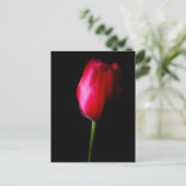 Briefkaart met rode tulpen (Staand voorkant)