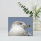 Briefkaart met rondsnavel (Staand voorkant)