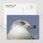 Briefkaart met rondsnavel (Voorkant / Achterkant)