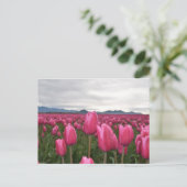 Briefkaart met roze tulpbloemen (Staand voorkant)