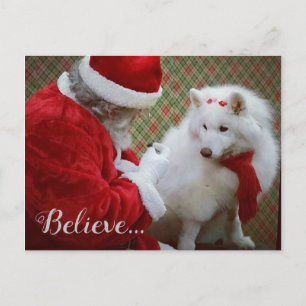 Briefkaart met Samoyed en Kerstmis