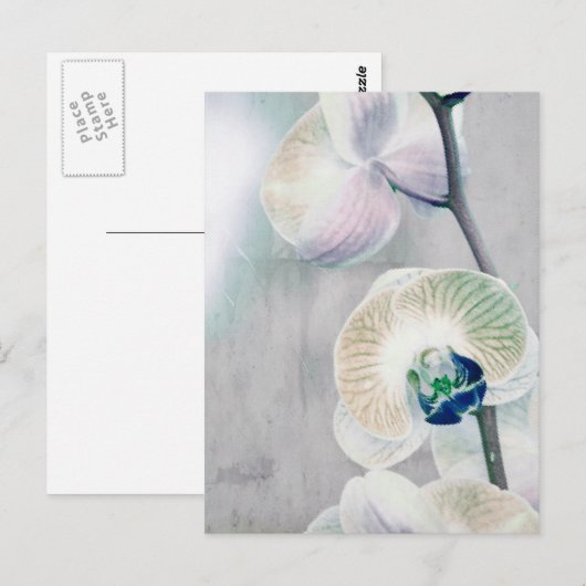 Briefkaart met schilfers (Voorkant / Achterkant)