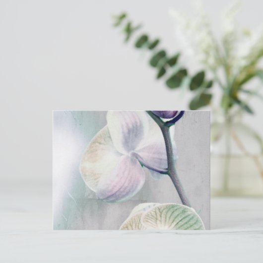 Briefkaart met schilfers (Staand voorkant)