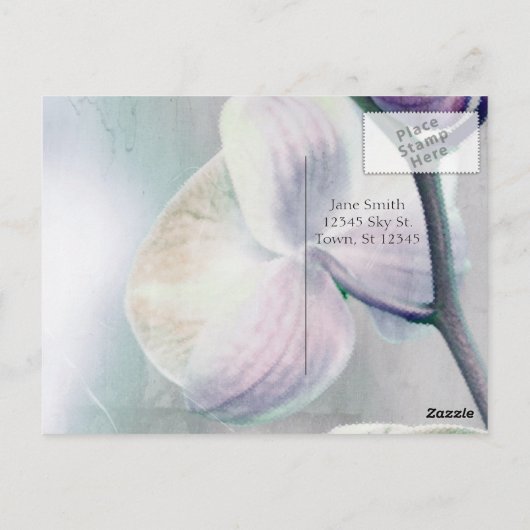 Briefkaart met schilfers (Achterkant)