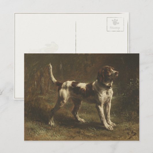 Briefkaart met schitterende dog (Voorkant / Achterkant)