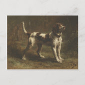 Briefkaart met schitterende dog (Voorkant)