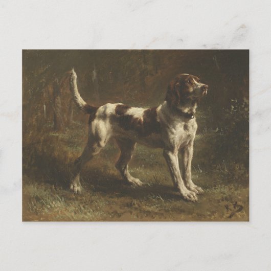 Briefkaart met schitterende dog (Voorkant)