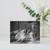 Briefkaart met slaapkamer (Staand voorkant)