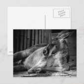 Briefkaart met slaapkamer (Voorkant / Achterkant)