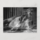 Briefkaart met slaapkamer (Voorkant)