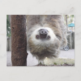 Briefkaart met sleuf