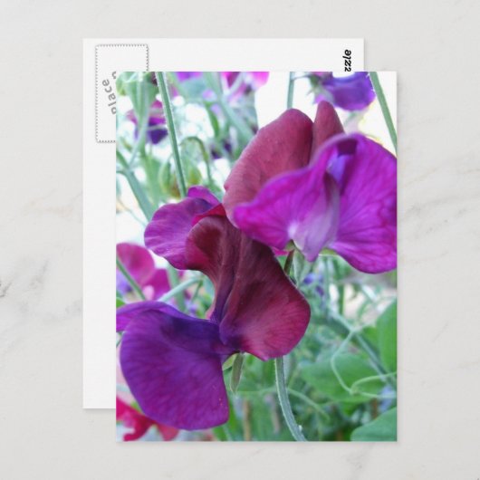 Briefkaart met snoepgoed (Voorkant / Achterkant)