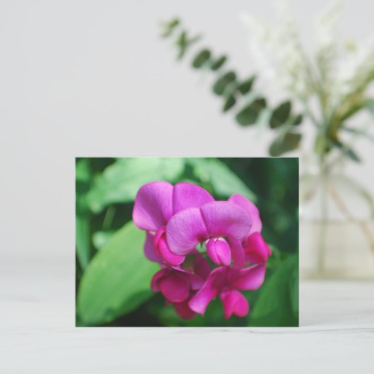 Briefkaart met snoepgoed (Staand voorkant)