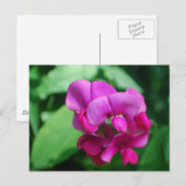 Briefkaart met snoepgoed (Voorkant / Achterkant)