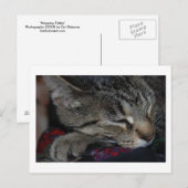 Briefkaart met tabletomhulling (Voorkant / Achterkant)