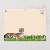 Briefkaart met tijger overschrijven met ID-doos (Achterkant)