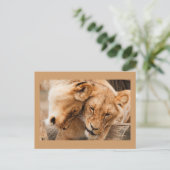 Briefkaart met twee leeuwen (Staand voorkant)