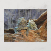 Briefkaart met twee merkwaardige lizards (Voorkant)