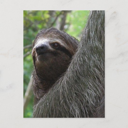Briefkaart met twee sleuven (Voorkant)