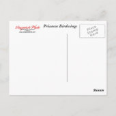 Briefkaart met twee vlinders (Achterkant)