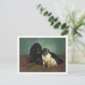 Briefkaart met verdoven honden (Staand voorkant)