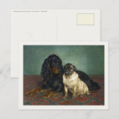 Briefkaart met verdoven honden (Voorkant / Achterkant)
