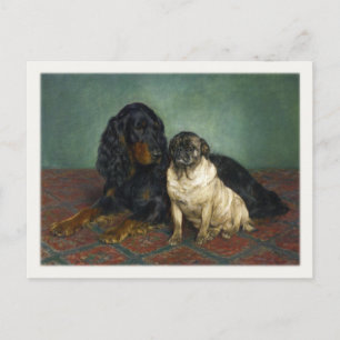 Briefkaart met verdoven honden