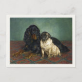 Briefkaart met verdoven honden (Voorkant)