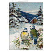 Briefkaart met vogels (Voorkant)