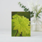 Briefkaart met volle motorkap (Staand voorkant)