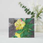 Briefkaart met witte omhulling (Staand voorkant)