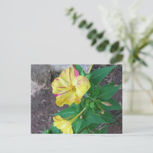 Briefkaart met witte omhulling (Staand voorkant)