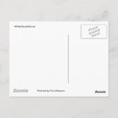 Briefkaart met witte wesp (Achterkant)