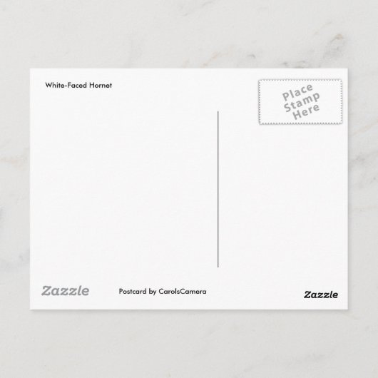 Briefkaart met witte wesp (Achterkant)