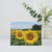 Briefkaart met zonnebloem (Staand voorkant)