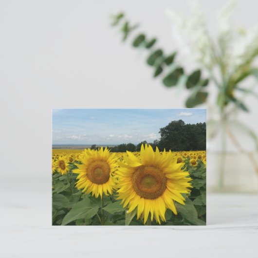 Briefkaart met zonnebloem (Staand voorkant)