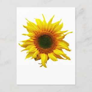 Briefkaart met zonnebloemontwerp