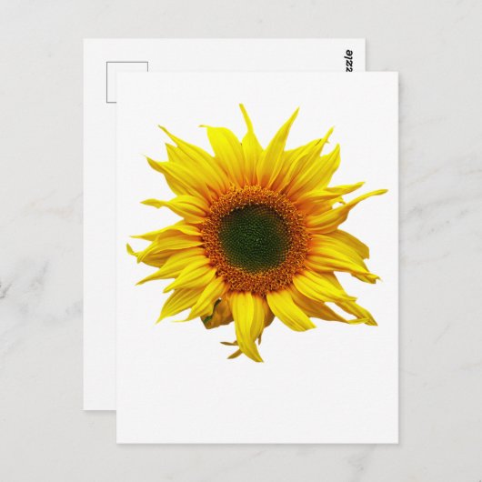 Briefkaart met zonnebloemontwerp (Voorkant / Achterkant)