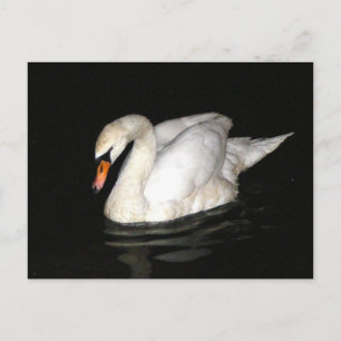Briefkaart met zwaan