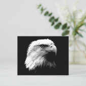 Briefkaart met zwarte en witte bald (Staand voorkant)
