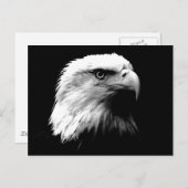 Briefkaart met zwarte en witte bald (Voorkant / Achterkant)