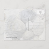 Briefkaart met zwarte en witte doornhaaien (Achterkant)