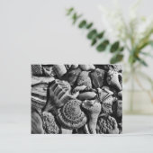 Briefkaart met zwarte en witte doornhaaien (Staand voorkant)