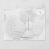 Briefkaart met zwarte en witte doornhaaien (Achterkant)