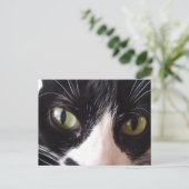 Briefkaart met zwarte en witte groene kat (Staand voorkant)