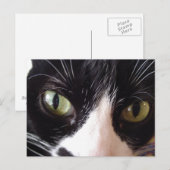 Briefkaart met zwarte en witte groene kat (Voorkant / Achterkant)