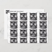 Briefkaart met zwarte en witte kat - Steampunk (Voorkant / Achterkant)