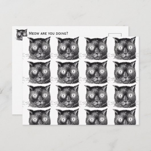 Briefkaart met zwarte en witte kat - Steampunk (Voorkant / Achterkant)