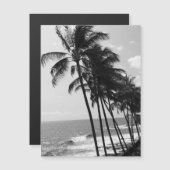 Briefkaart met zwarte en witte palmbomen (Voorkant / Achterkant)
